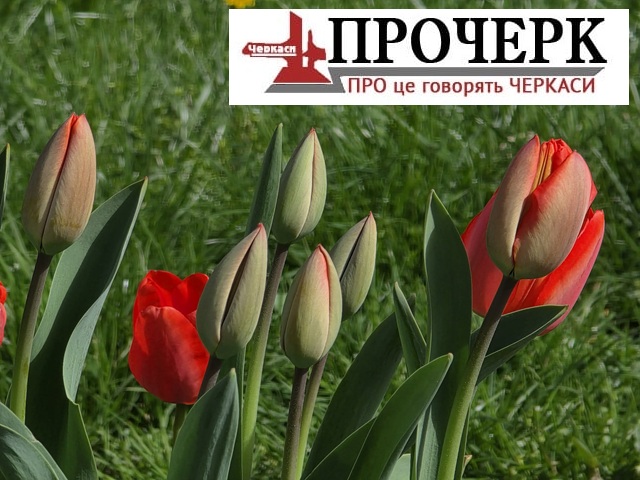 Фото до матеріалу: Циклон на Черкащині: дощі, град та холод до кінця тижня — прогноз синоптиків