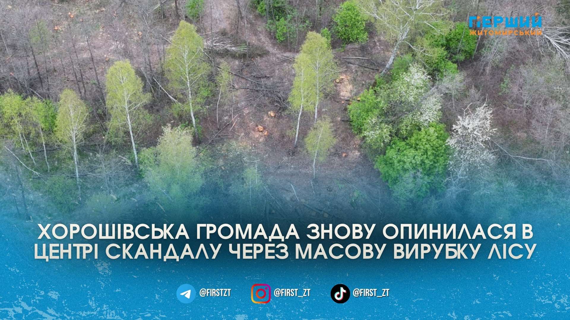 Фото до матеріалу: Сотні дерев зрубано біля Теренців: Хорошівська громада знову ризикує мільйонними збитками