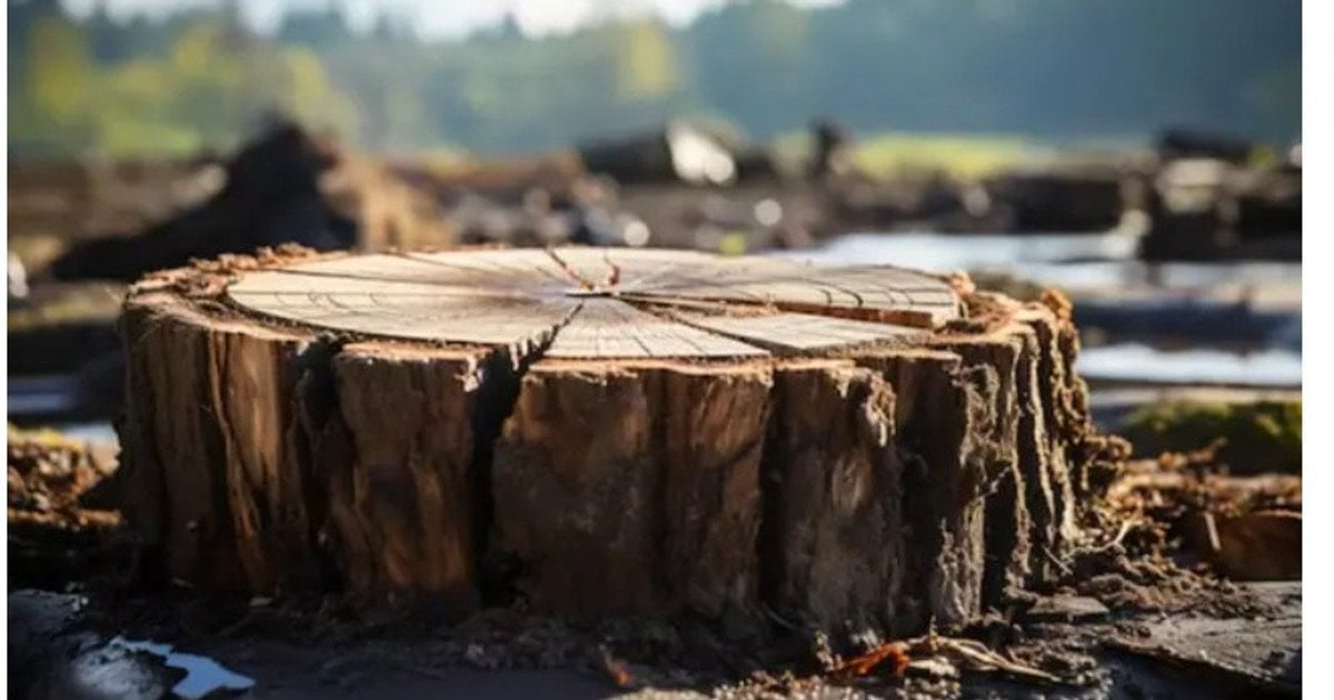 Фото до матеріалу: Українців попереджають про загрозу масованого обстрілу на найближчі 72 години