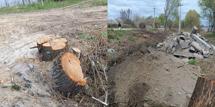 Фото до матеріалу: У Києві зафіксували екологічний злочин: заасфальтували заказник "Озеро Заплавне"
