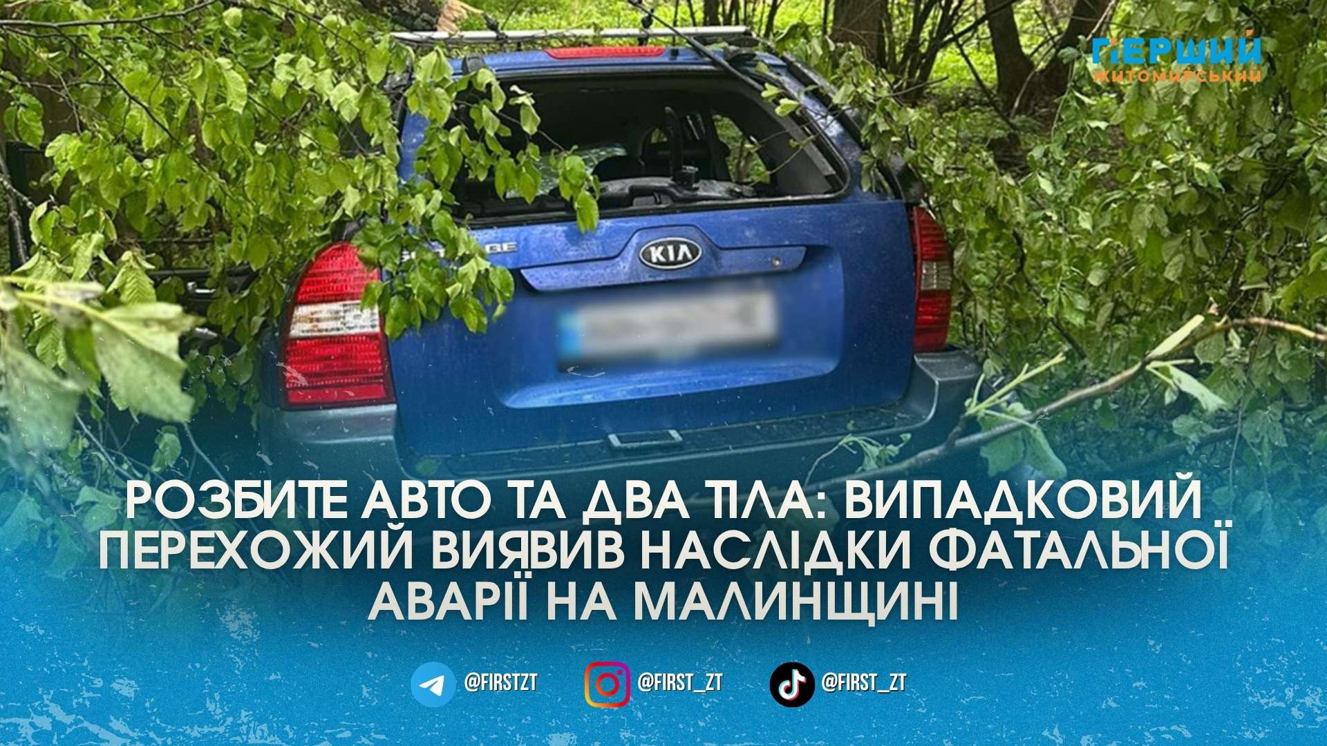 Фото до матеріалу: Двох чоловіків поховали після смертельного тарану дерева на Малинщині