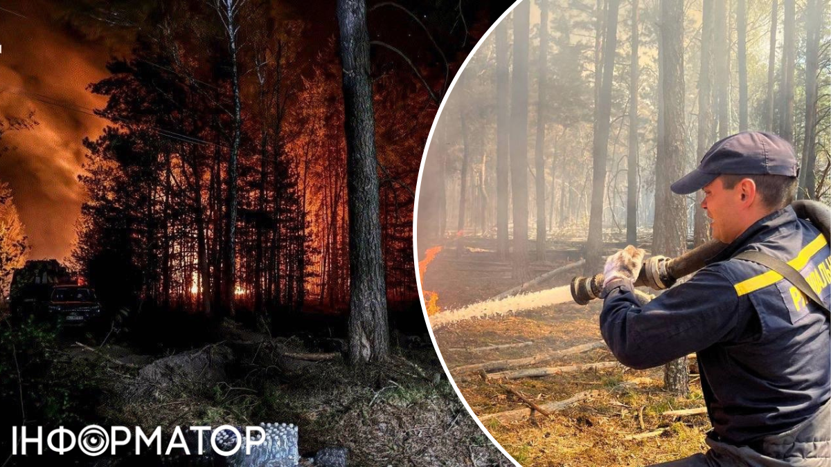 Фото до матеріалу: Пожежа у Чорнобильській зоні охопила 1200 гектарів: вогонь гасять понад 300 людей