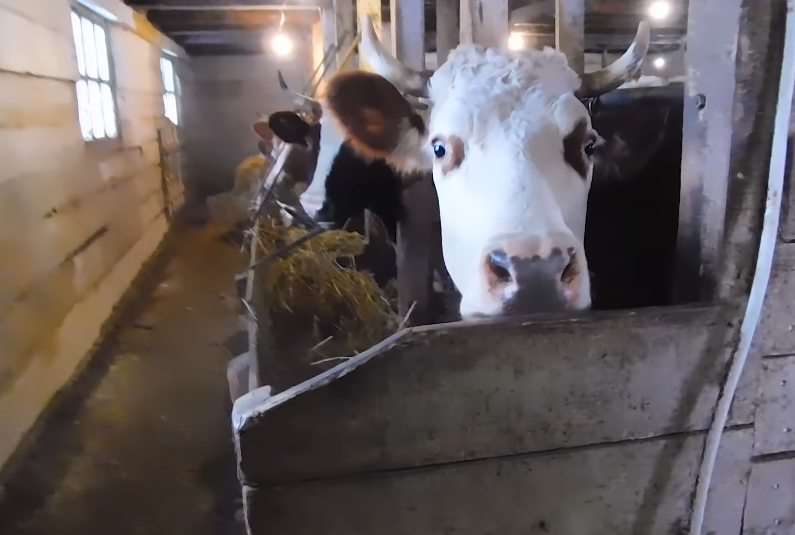 Фото до матеріалу: Податкова пояснила, коли продаж домашньої продукції не підпадає під оподаткування