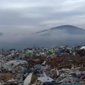 Фото до матеріалу: На Берегівщині викрито масштабні бюджетні махінації з вирощування кукурудзи в аграрному інституті