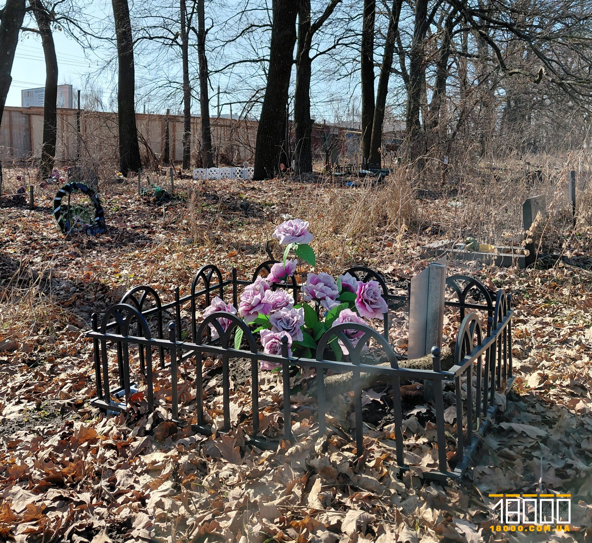 Фото до матеріалу: У Черкасах пропонують відкласти будівництво кладовища для тварин до кінця війни