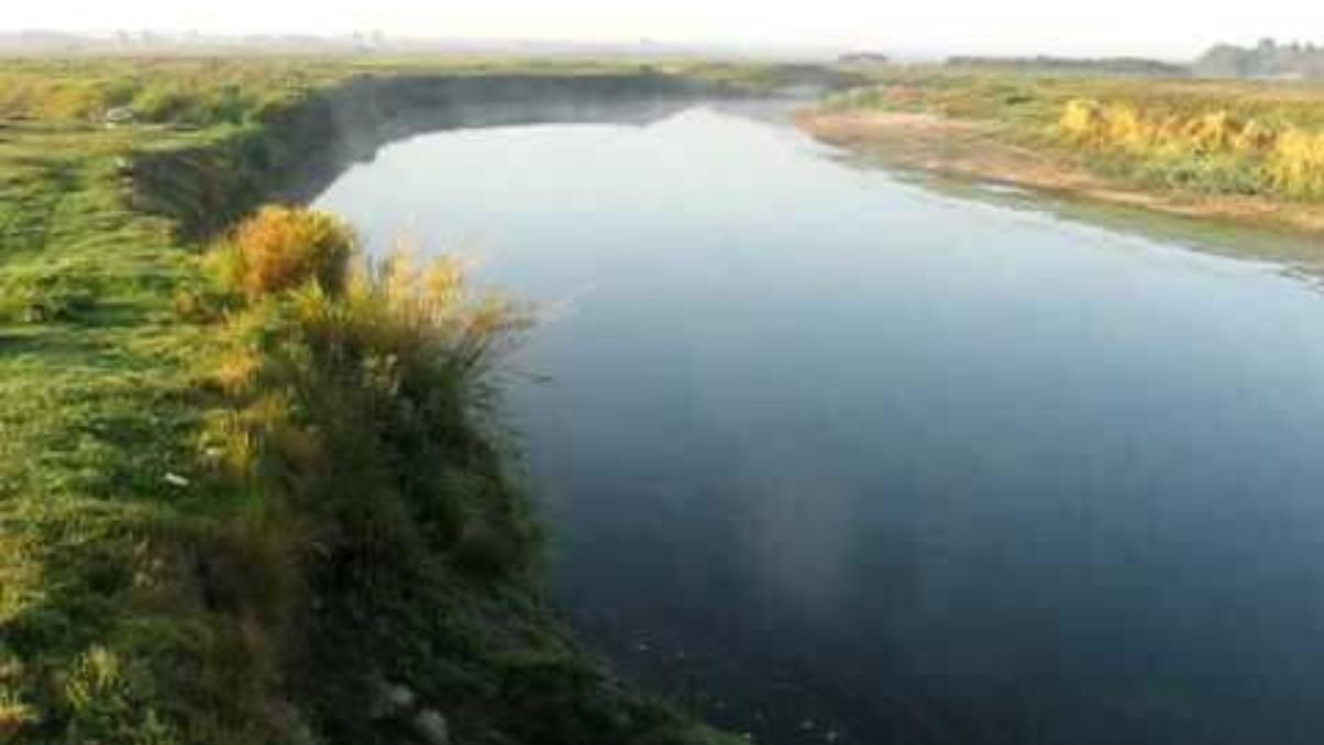 Фото до матеріалу: Луцькводоканал заплатив 8,2 млн за смерть риби в Стирі