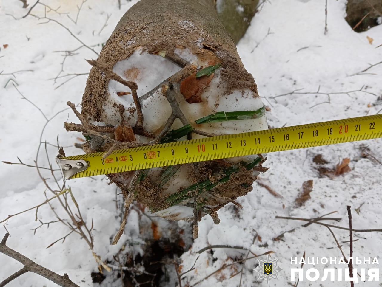 Фото до матеріалу: Трагедія на Львівщині: під час незаконної порубки дерева загинув чоловік