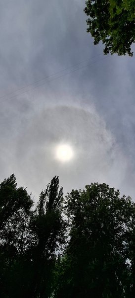 Фото до матеріалу: У Києві зафіксували сонячне гало: що це та що чекає на місто