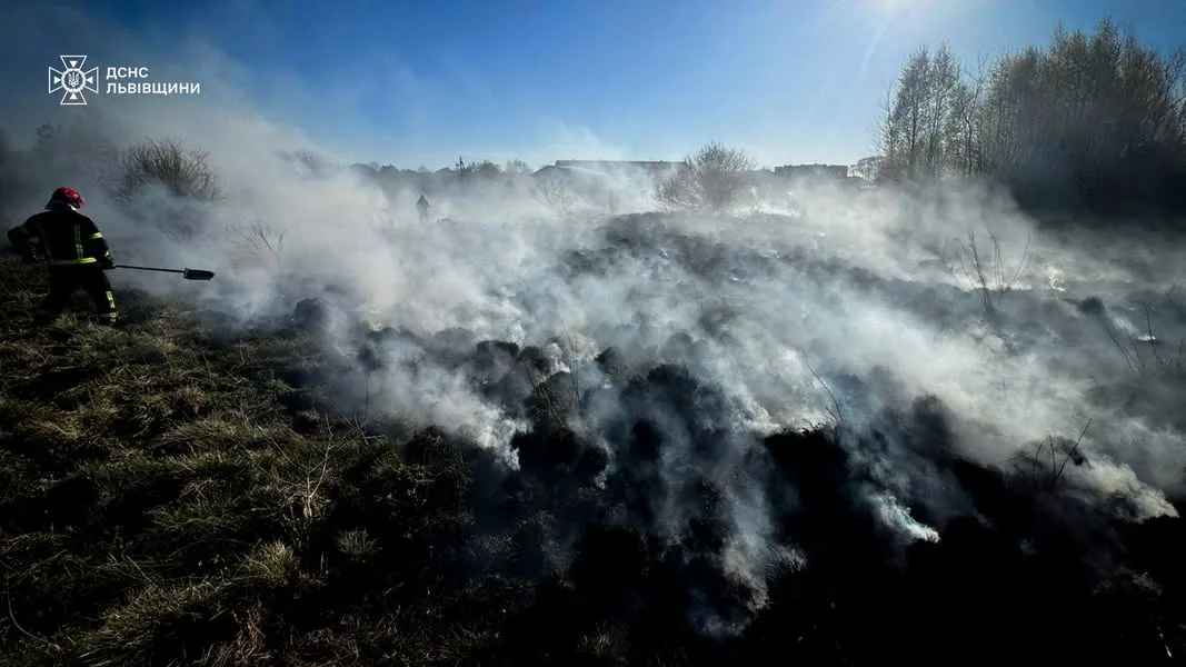 Фото до матеріалу: На Львівщині знищено 1,5 га землі: мешканці ігнорують застереження щодо випалювання
