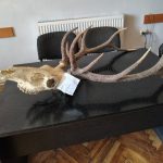 Фото до матеріалу: У Івано-Франківську поліція затримала п'яного чоловіка з ножем