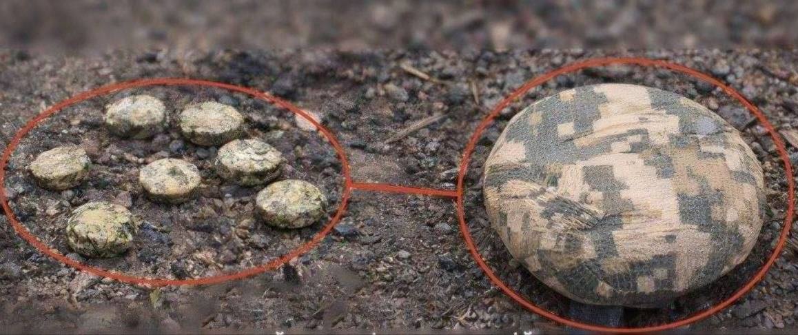 Фото до матеріалу: Ворог значно активізував дистанційне мінування Херсонської громади – Шанько