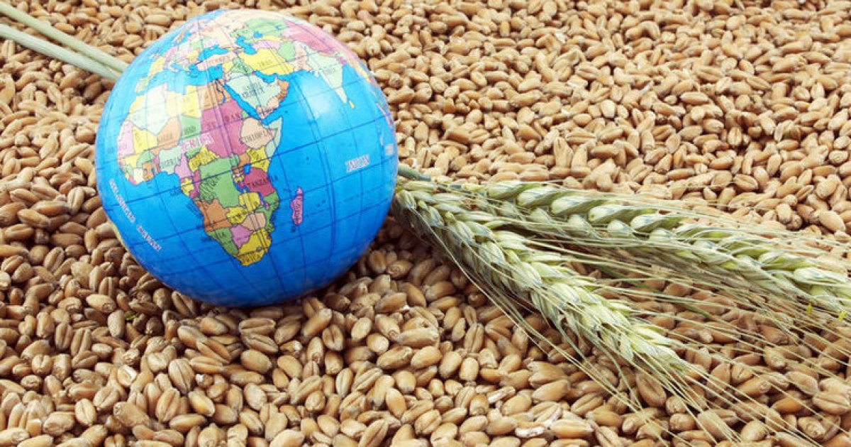 Фото до матеріалу: Ціни на продукти сягають світових рекордів