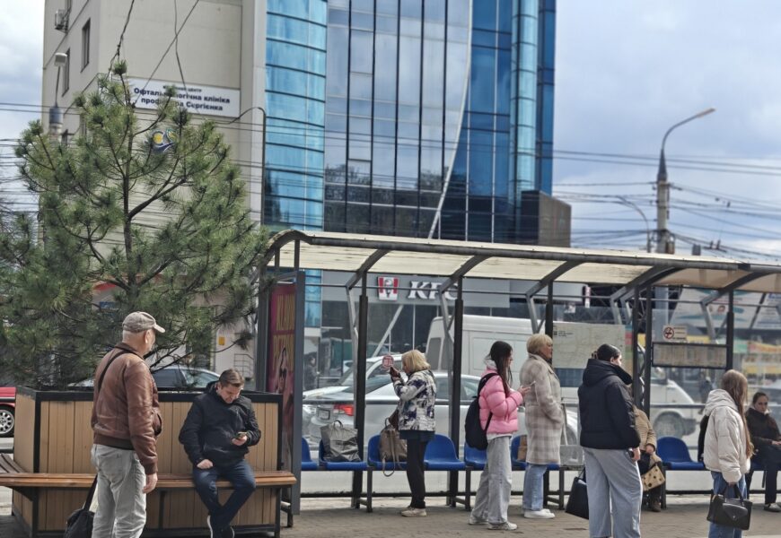 Фото до матеріалу: Сакуру та сосну перенесли з Майдану Небесної Сотні до зупинки Медичний університет у Вінниці