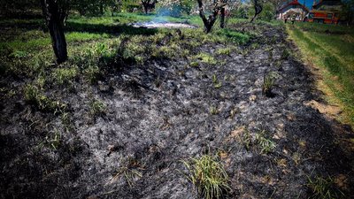 Фото до матеріалу: У Мінсоцполітики пояснили, чи планують скасовувати дозвіл на виїзд чоловіків до 23 років