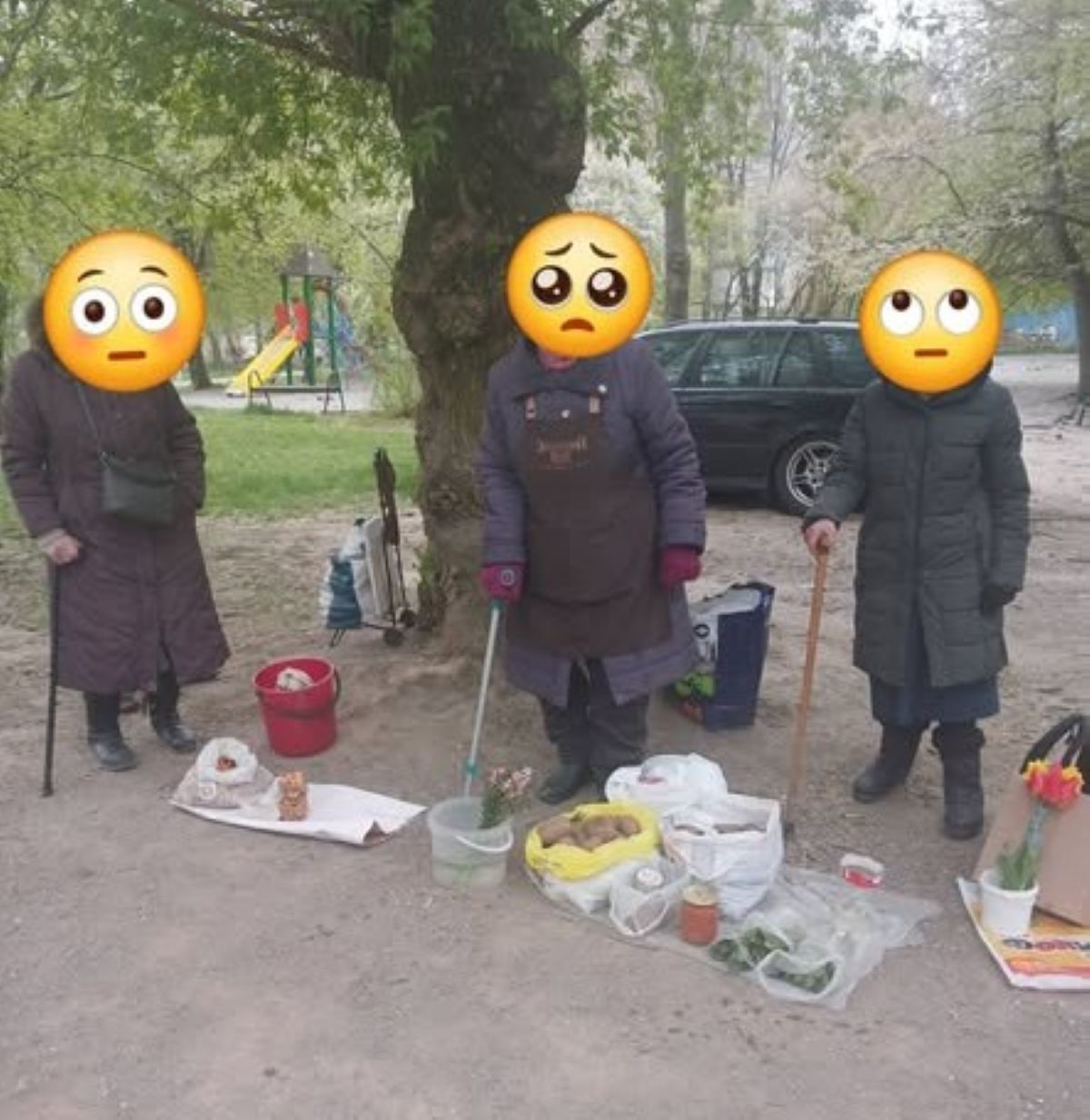 Фото до матеріалу: Поліція та муніципальна варта обступили бабусю з тюльпанами біля ринку «Лісопарк» у Вінниці