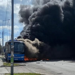 Фото до матеріалу: ШІ перевершив лікарів у діагностиці: результати дослідження Гарварду