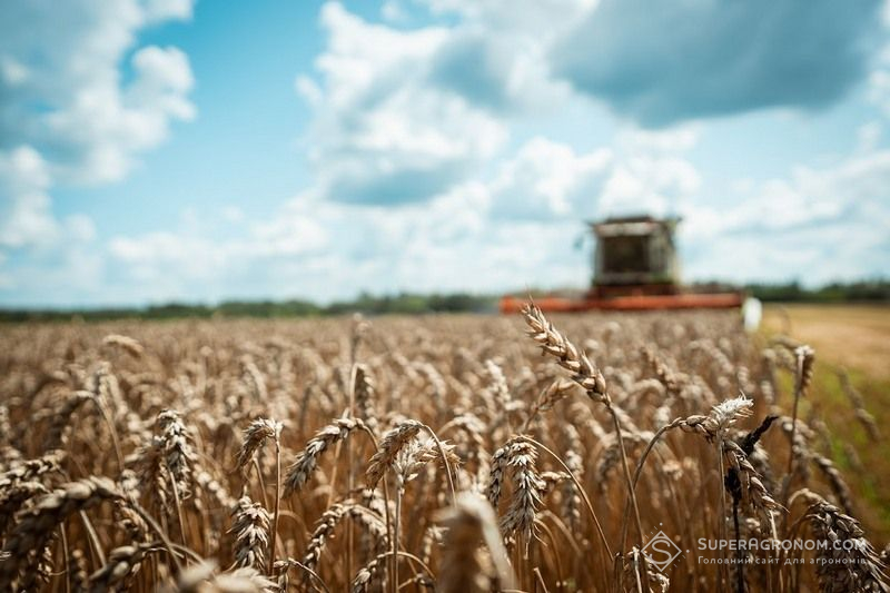 Фото до матеріалу: Україна збереже валовий збір зерна на рівні 60 млн тонн попри холодну весну