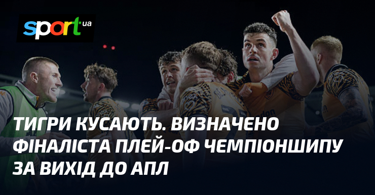 Фото до матеріалу: Халл Сіті виграв плей-оф Чемпіоншипу і вийшов до АПЛ