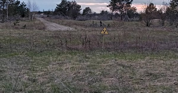 Фото до матеріалу: Підозри колишнім чиновникам за незаконний агробізнес у Чорнобильській зоні