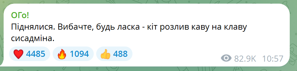 Фото до матеріалу: Monobank відновив роботу після масштабного збою: що сказав Гороховський