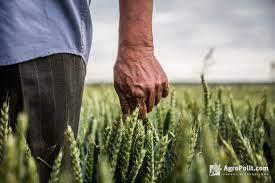 Фото до матеріалу: Фермерство в Україні можуть ліквідувати: що означає реформа Цивільного кодексу