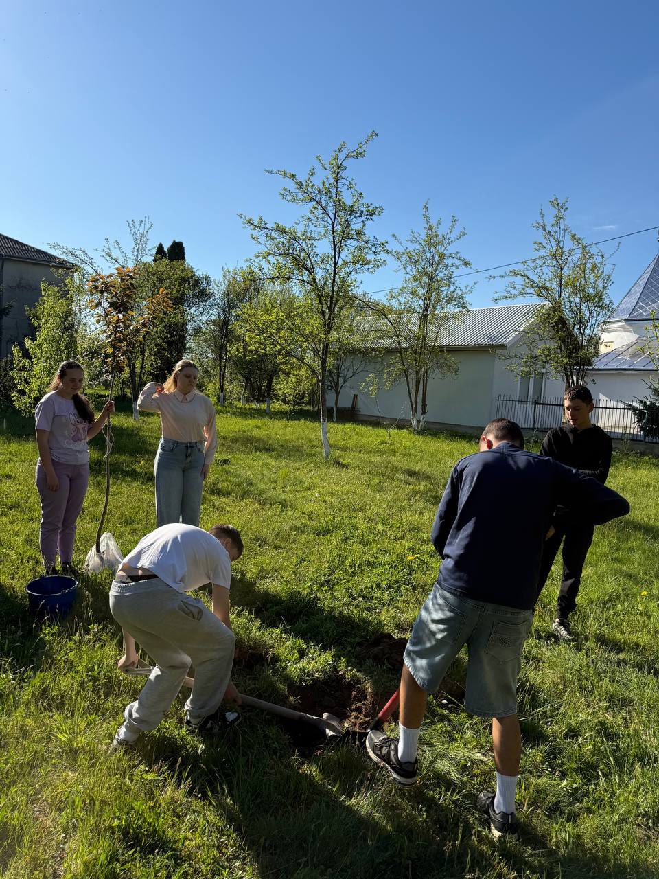Фото до матеріалу: Випускники Нижньолукавицької школи висадили сакуру на Алеї випускників