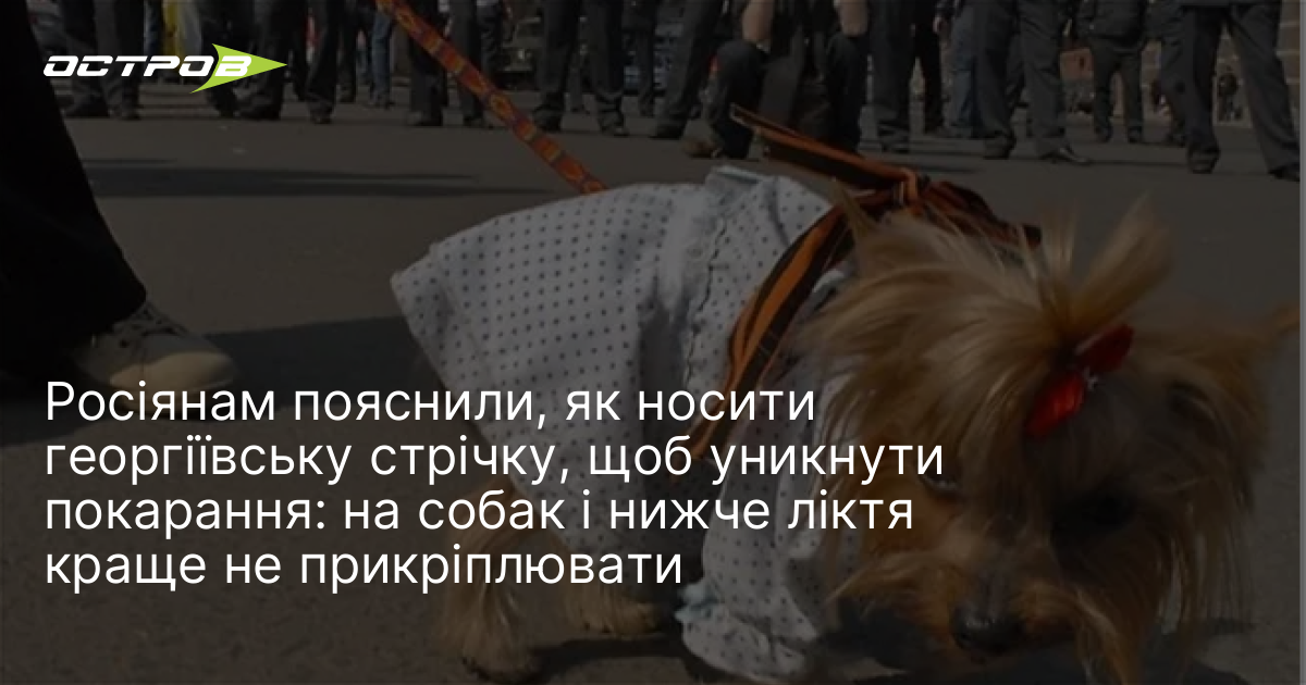 Фото до матеріалу: Як правильно носити георгіївську стрічку: поради адвоката для захисту від покарання