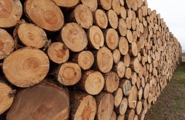 Фото до матеріалу: ЄБА вимагає прозорого ринку деревини через критичний дефіцит сировини
