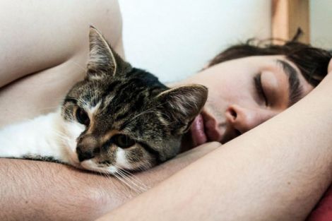 Фото до матеріалу: Один келих вина щодня додає пів року життя: чому це працює лише для чоловіків