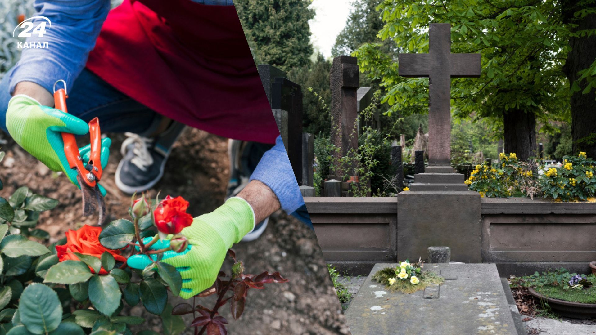 Фото до матеріалу: Чи можна пересаджувати квіти з дому на цвинтар: думка священника ПЦУ