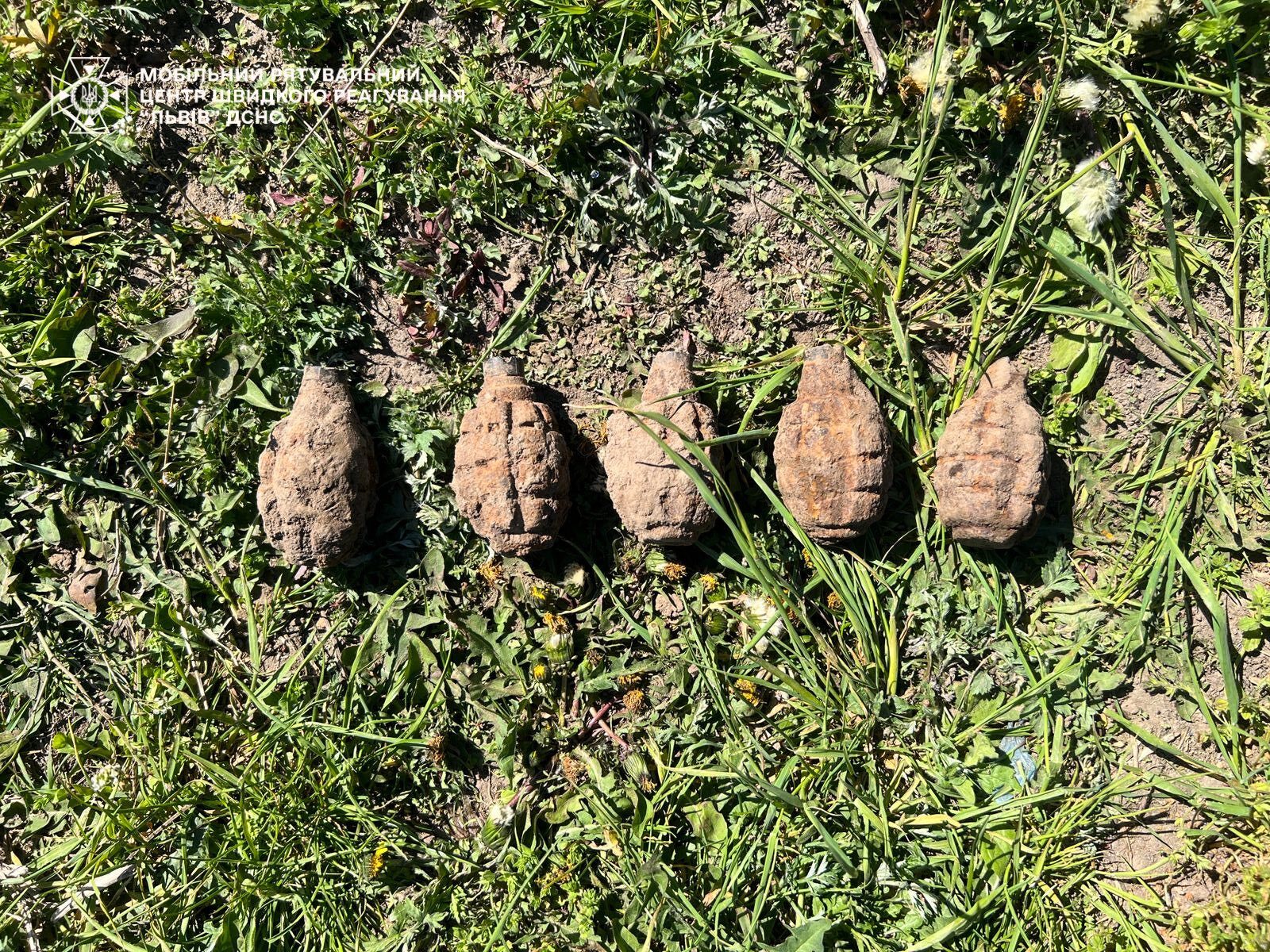 Фото до матеріалу: Львівщина: сапери вилучили 7 вибухонебезпечних боєприпасів