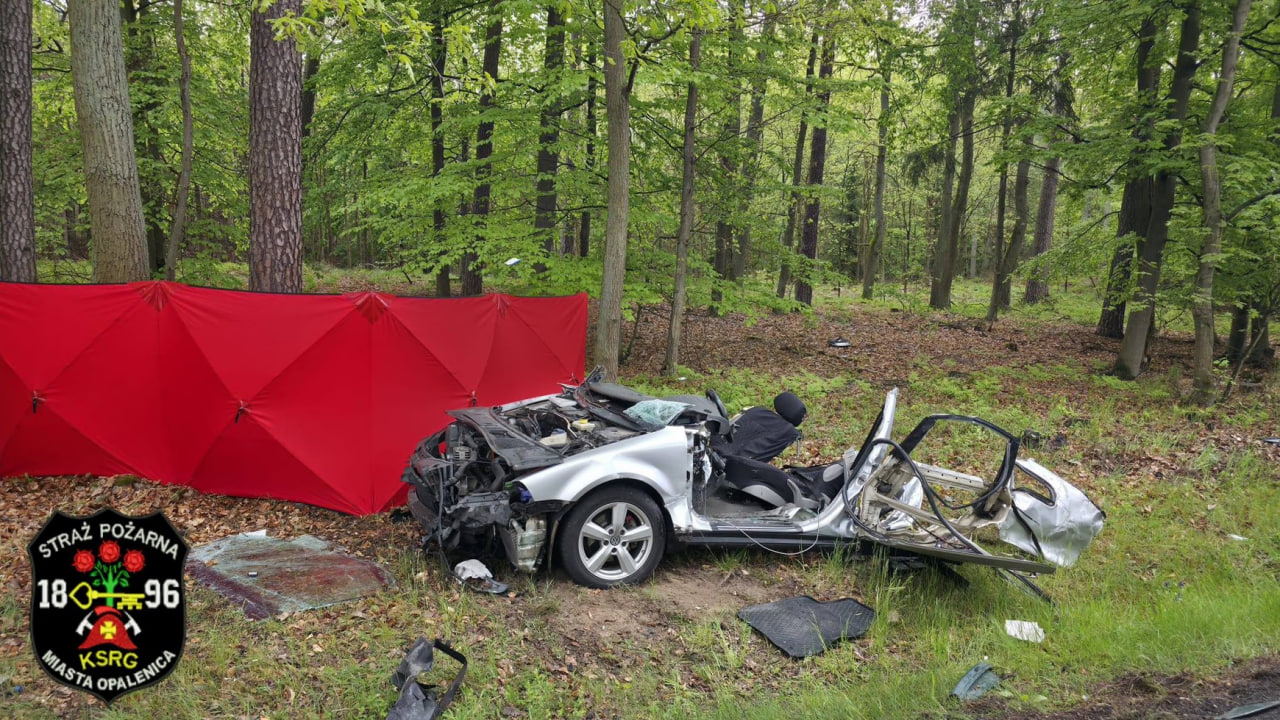 Фото до матеріалу: ДТП у Польщі: загинули двоє українців у великопольському селі