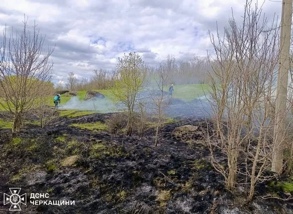 Фото до матеріалу: П'ять пожеж сухої рослинності на Черкащині: діти та куріння стали причиною загорянь