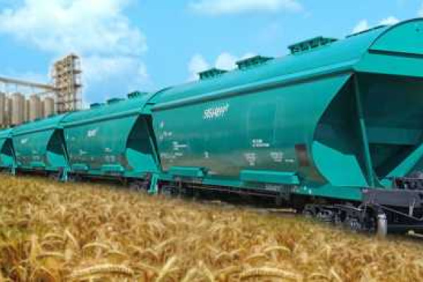 Фото до матеріалу: Ціни на цибулю в Україні зросли майже на 20% у цьому тижні