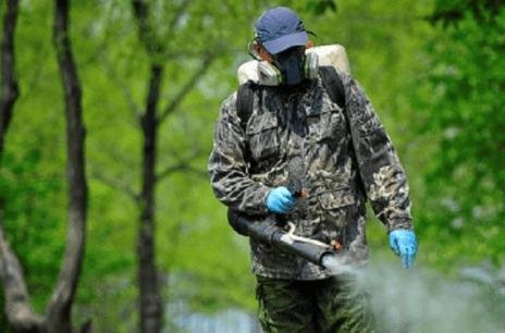 Фото до матеріалу: У Львові на три дні закриють частину дитячих майданчиків: де саме проводитимуть обробку від кліщів