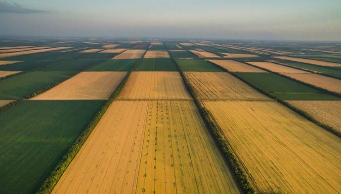 Фото до матеріалу: Відкриття ринку землі: скільки коштуватиме українська земля з 1 липня