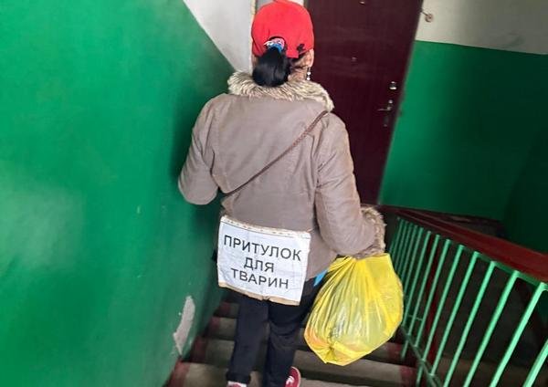 Фото до матеріалу: У Черкасах виявили псевдопритулок, де власниця топить котів