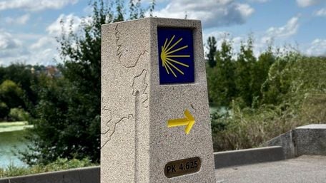Фото до матеріалу: Пожежа на сміттєзвалищі в Скобичівці: рятувальники ліквідували займання