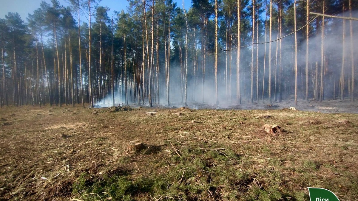 Фото до матеріалу: Понад 1800 пожеж: в Україні вигоріло майже 2250 гектарів екосистем