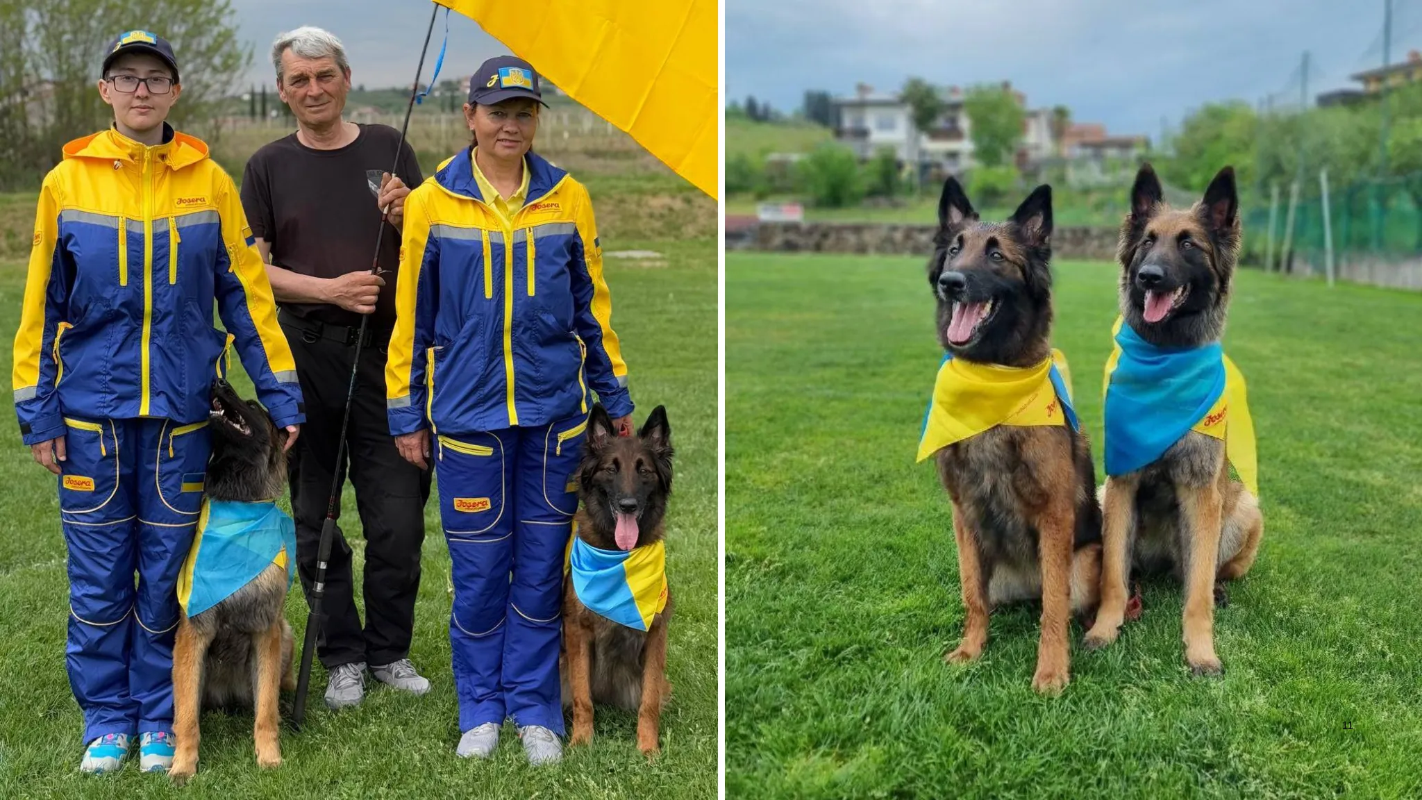 Фото до матеріалу: Павлоградські кінологині здобули визнання на чемпіонаті світу в Словенії