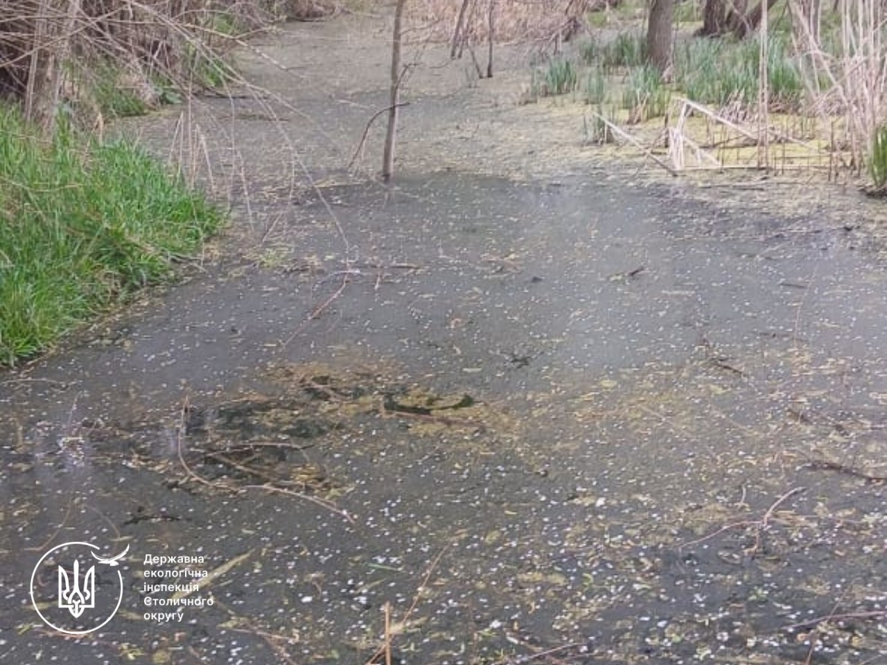 Фото до матеріалу: Витік невідомої речовини на Фастівщині: інспектори виявили забруднення ґрунтів