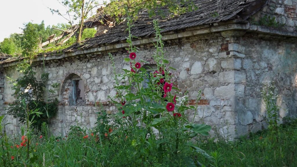 Фото до матеріалу: Цегла з підписом барона: що розкривають руїни 190-річної гуральні в Городку