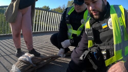 Фото до матеріалу: Косуля потрапила під авто у Хмельницькому: патрульні врятували тварину