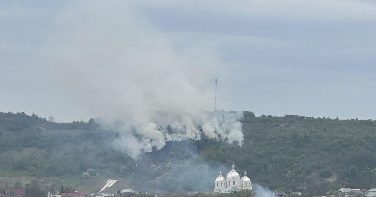 Фото до матеріалу: У Великих Грибовичах виникла масштабна пожежа: загорівся ліс на пагорбі