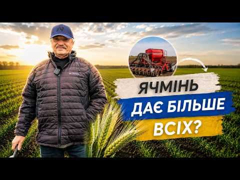 Фото до матеріалу: Лише жито в плюсі: USDA оцінює майбутній урожай України