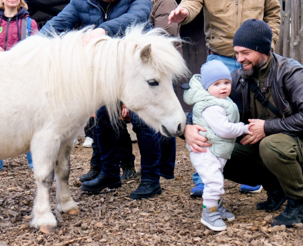 Фото до матеріалу: Казковий звір у Київзоо: хто зустрічає відвідувачів, - ФОТО