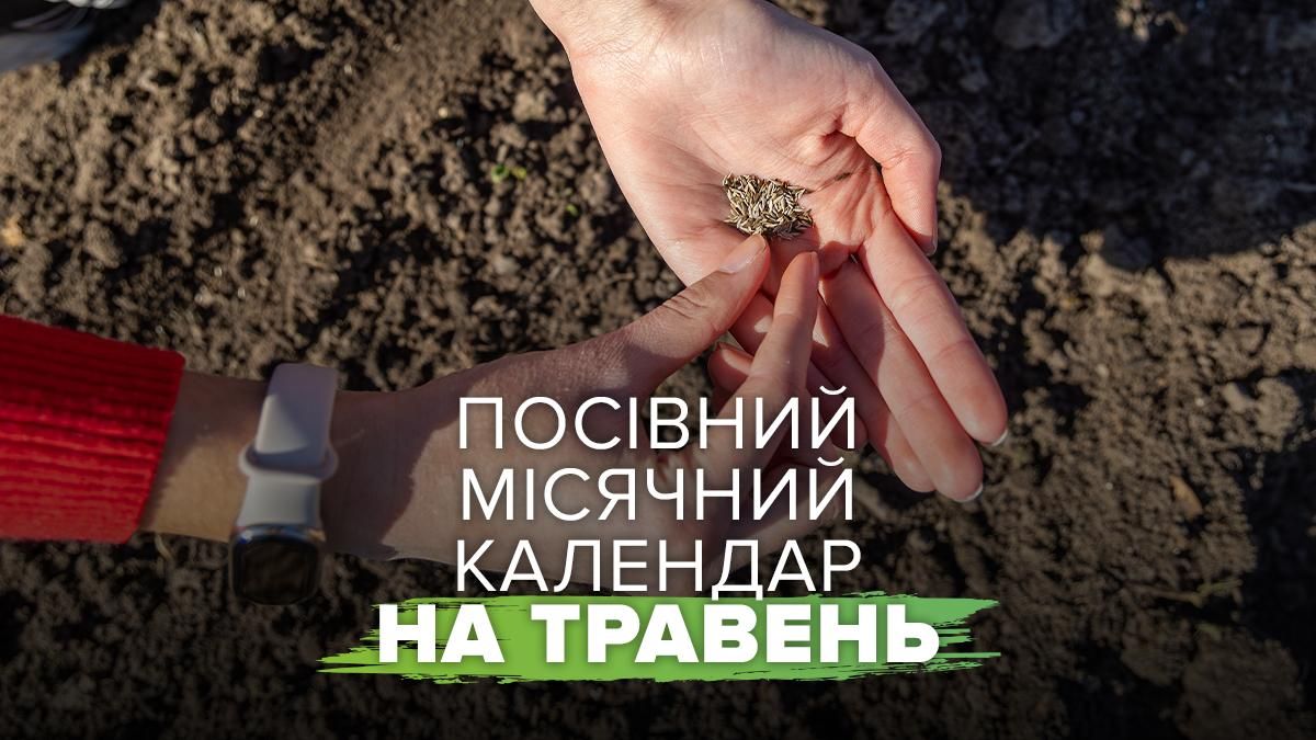 Фото до матеріалу: Посадка у ці дні дасть вдвічі більше урожаю: посівний календар на травень 2026