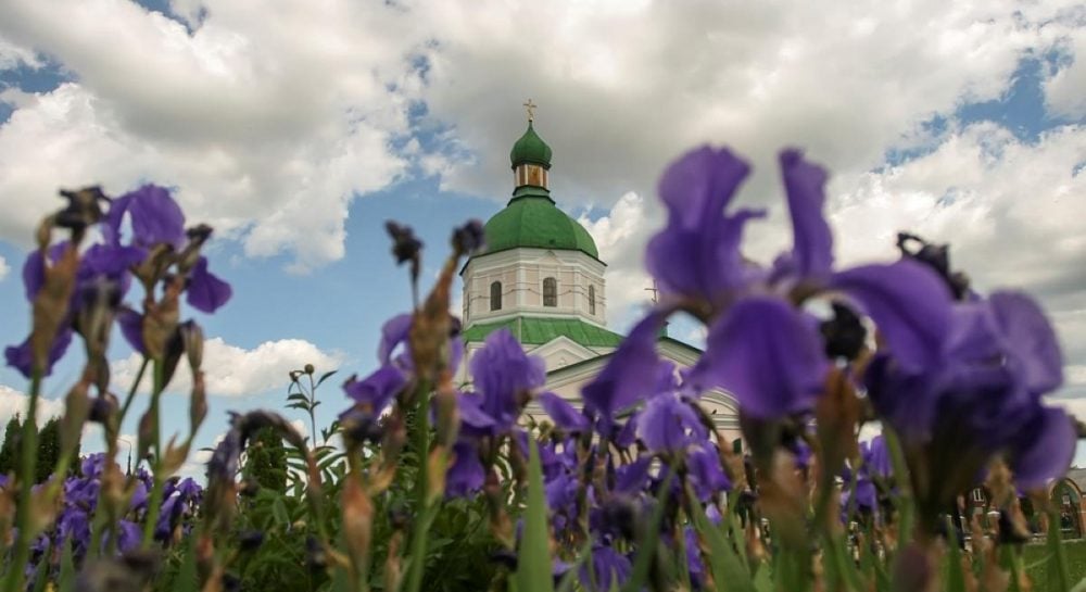 Фото до матеріалу: 14 травня: церковне свято Сидір-огірочник, заборони та прикмети