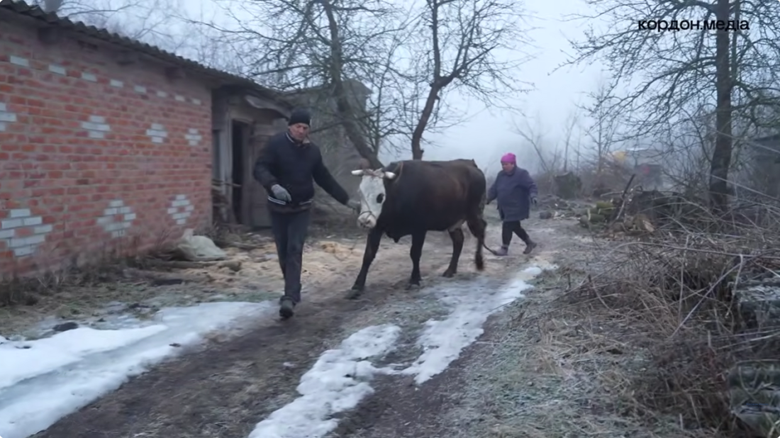 Фото до матеріалу: Евакуація з Сумщини: люди тікають у темряві разом із тваринами, бо бояться дронів