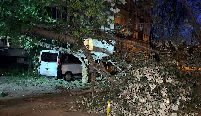 Фото до матеріалу: У Києві вітер зламав дерево на мікроавтобус у дворі